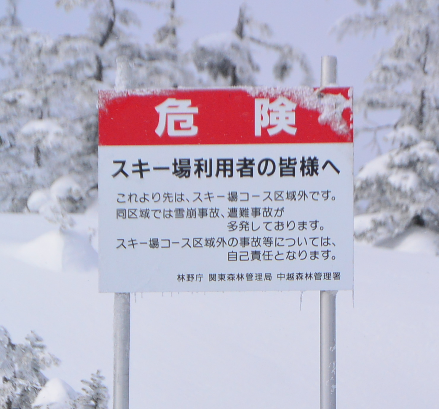 2015年のガイドはどパウから始まりました_d0110562_17493336.jpg