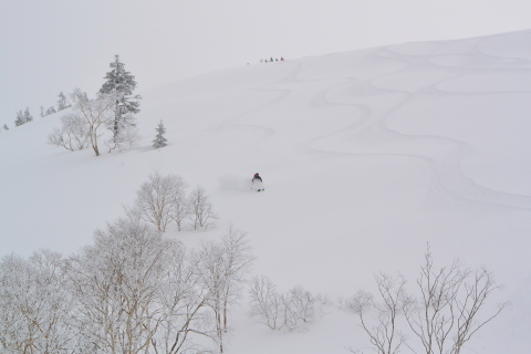 2015年のガイドはどパウから始まりました_d0110562_18230294.jpg