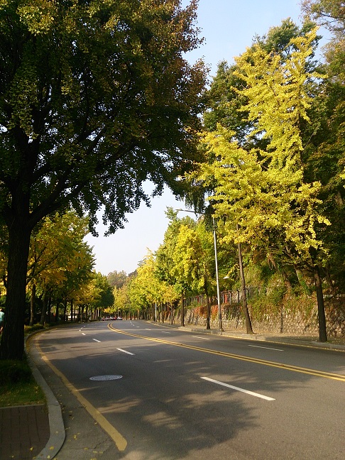 poom ソウル 2014年 秋_b0060363_2335477.jpg