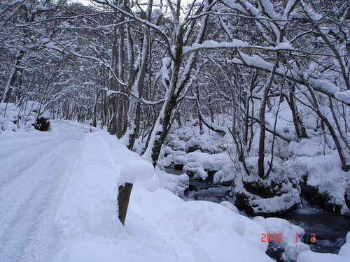 奥入瀬渓流　積雪が多くなりました_d0165378_133452.jpg