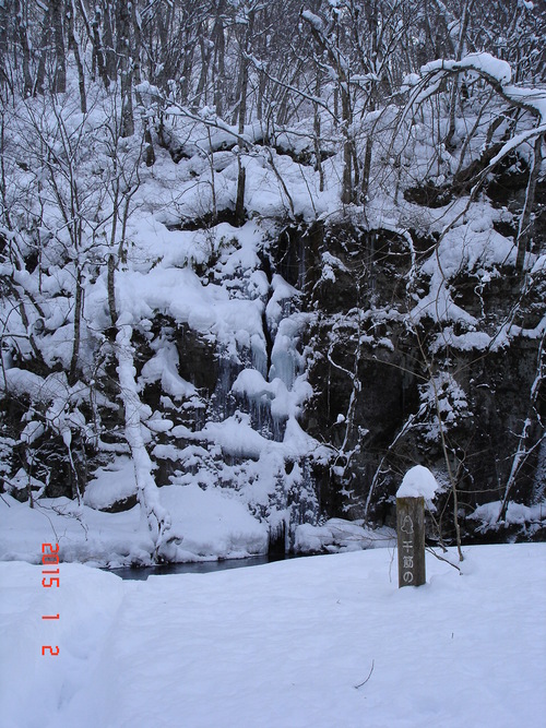 奥入瀬渓流　積雪が多くなりました_d0165378_13373577.jpg