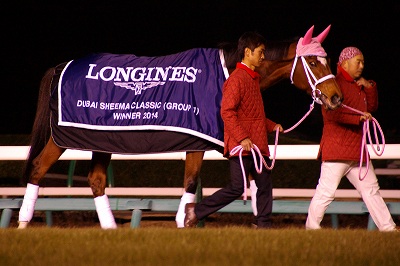 【ジェンティルドンナ/2014 DUBAI SHEEMA CLASSIC】 ジェンティルドンナ/2014 DUBAI SHEEMA CLASSIC】