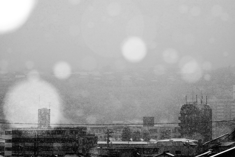f0189086_23293011.jpg