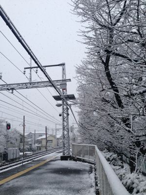 元旦から大雪で_e0246691_16404815.jpg