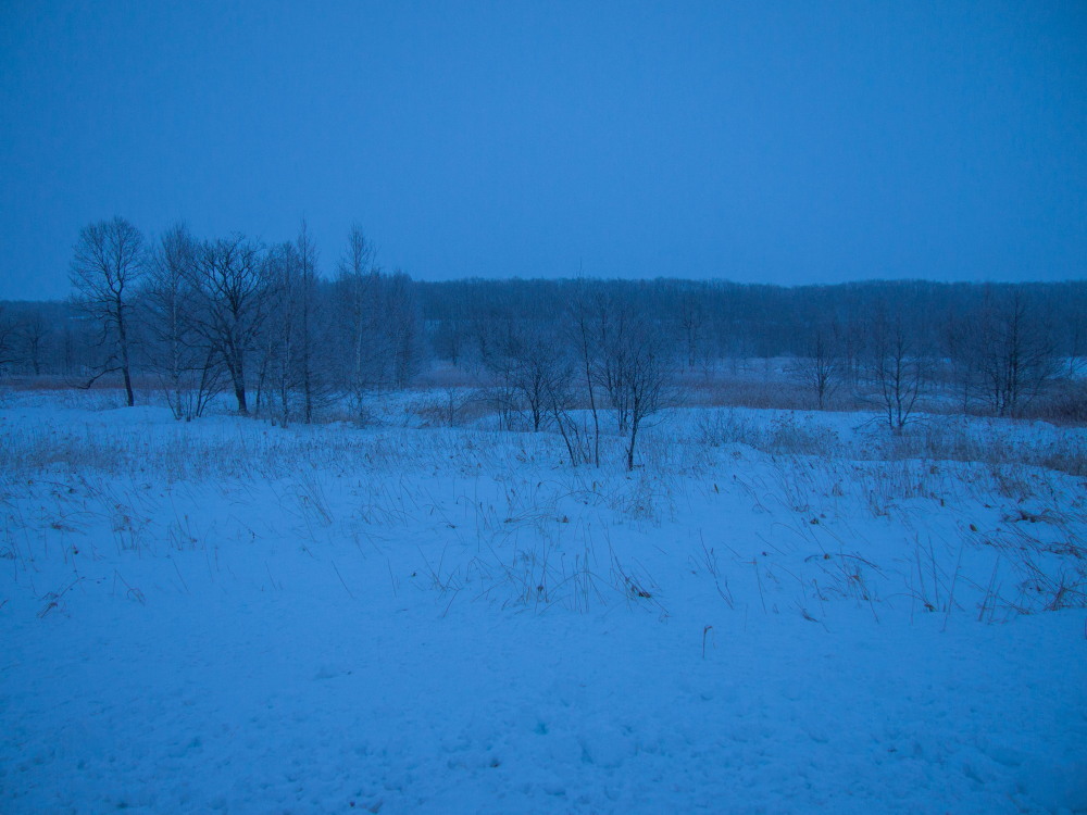 f0276498_00022377.jpg