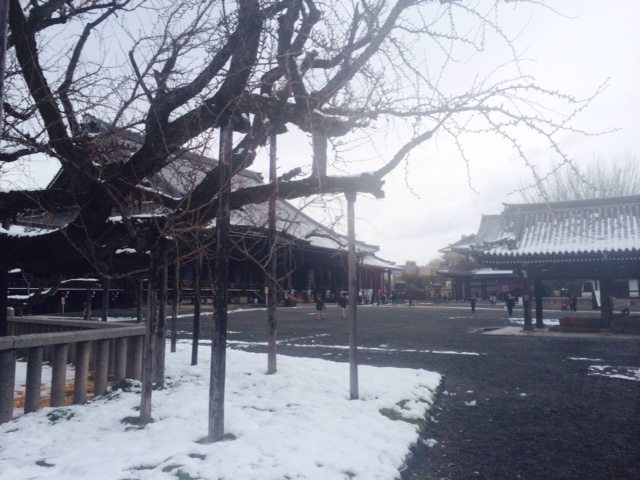 お正月、雪の京都。_a0050302_14211112.jpg