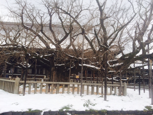 お正月、雪の京都。_a0050302_14215932.jpg