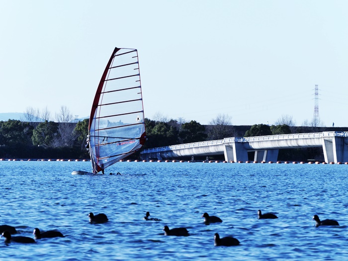 c0187503_22593250.jpg