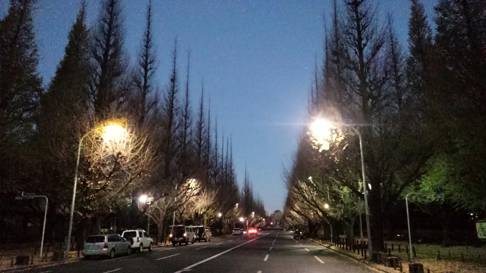 e0027711_1581870.jpg
