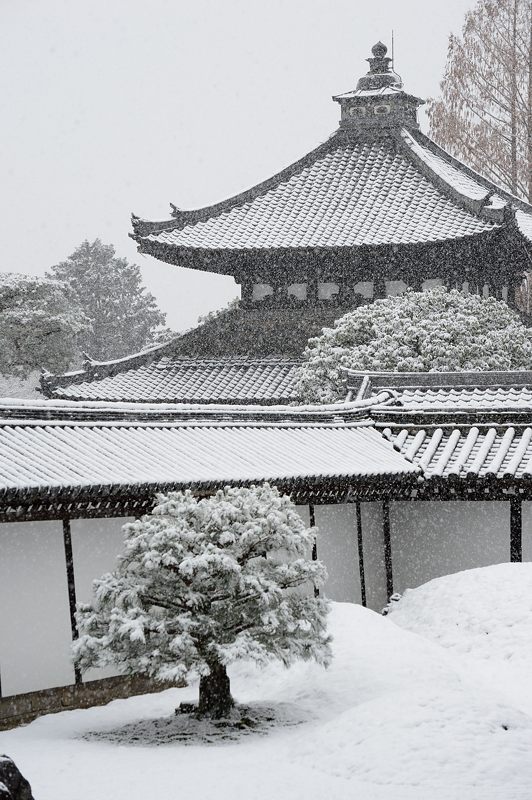 元旦雪景色!@東福寺_f0032011_1633179.jpg
