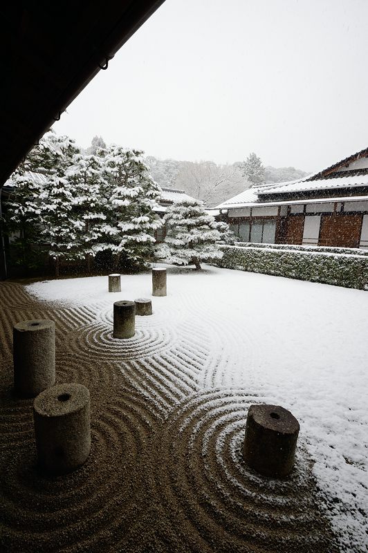 元旦雪景色!＠東福寺_f0032011_1636689.jpg