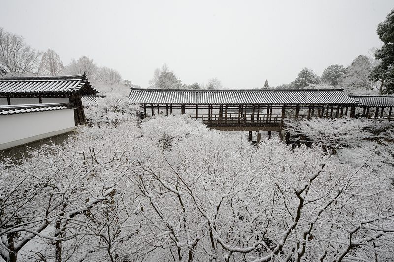 元旦雪景色!＠東福寺_f0032011_16385227.jpg