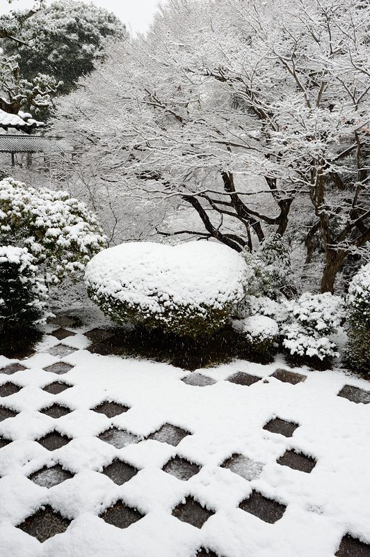 元旦雪景色!@東福寺_f0032011_16391164.jpg