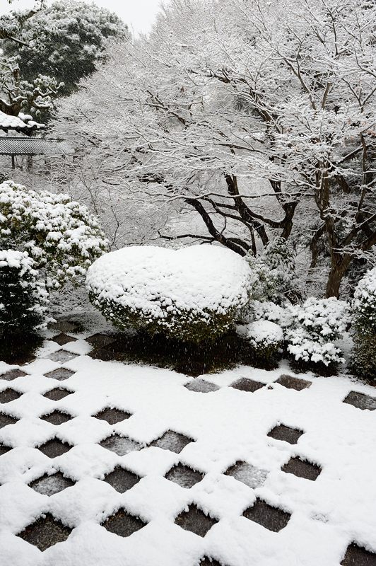 元旦雪景色!＠東福寺_f0032011_16391164.jpg