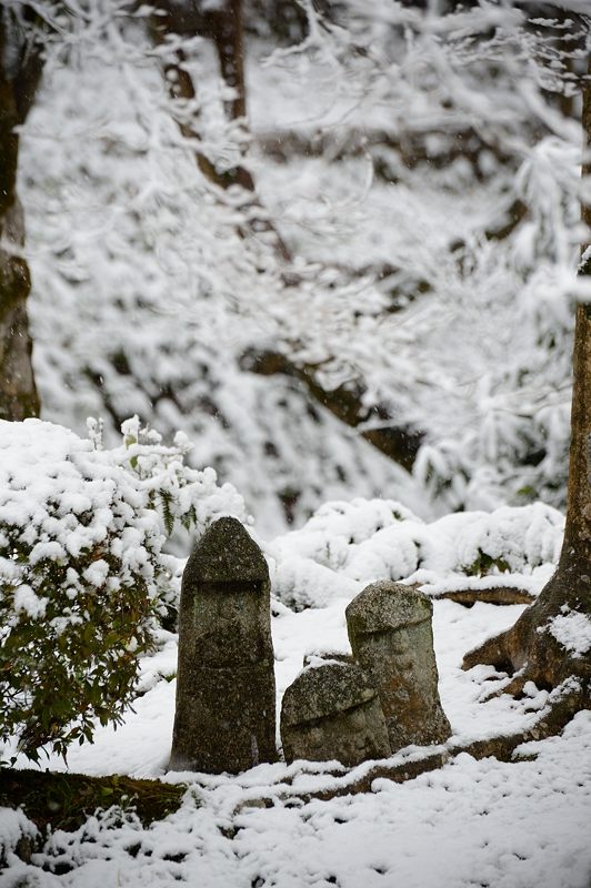 元旦雪景色!＠東福寺_f0032011_16394294.jpg