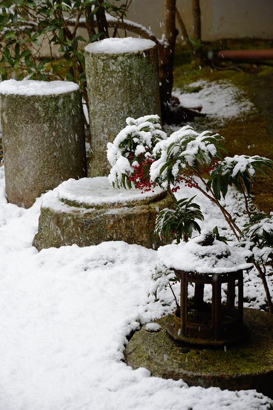 元旦雪景色!＠東福寺_f0032011_16401083.jpg