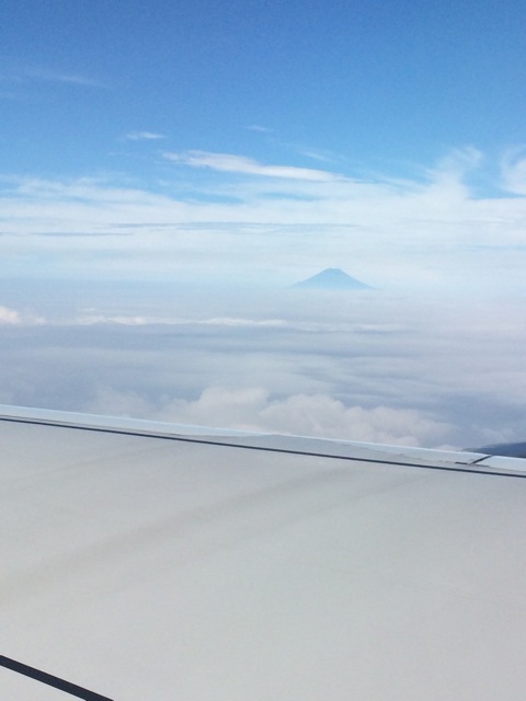 f0274713_16200657.jpeg