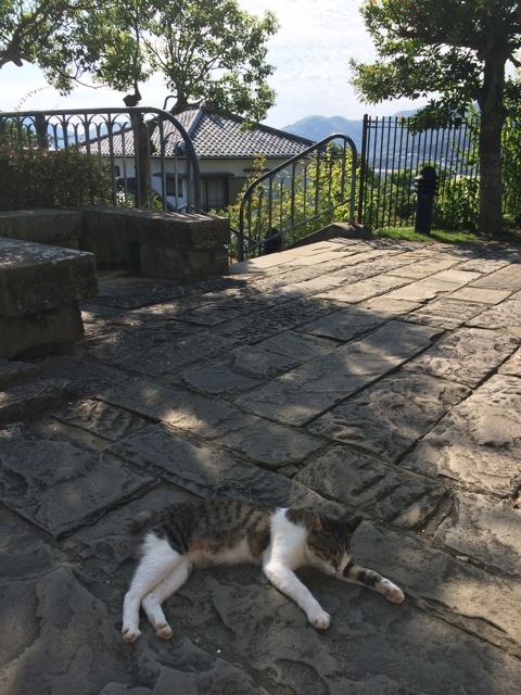f0274713_18303044.jpeg