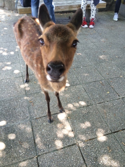 f0274713_20471093.jpeg