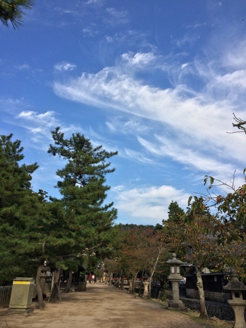 f0274713_21042378.jpeg