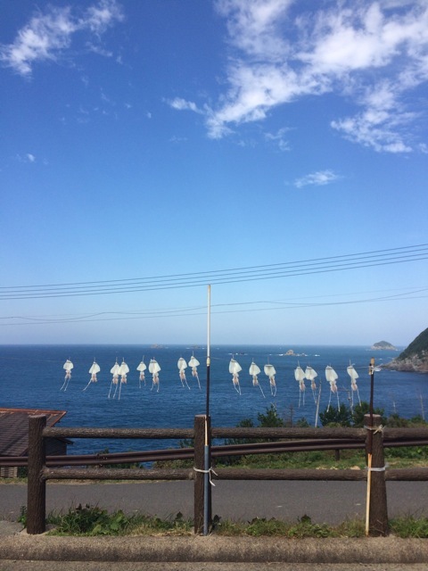 f0274713_22164907.jpeg