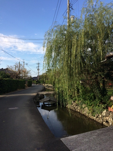 f0274713_22302698.jpeg