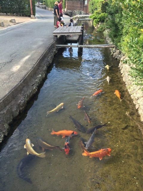 f0274713_22305286.jpeg