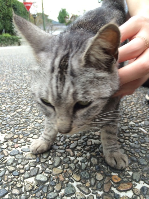 f0274713_22574200.jpeg