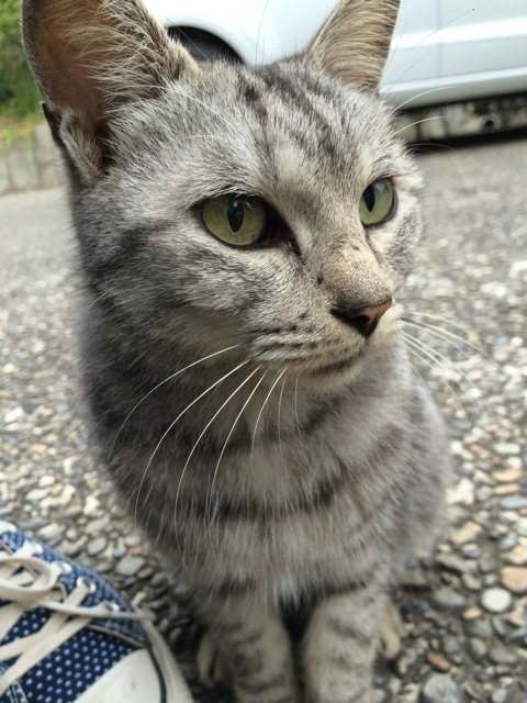 f0274713_22575134.jpeg
