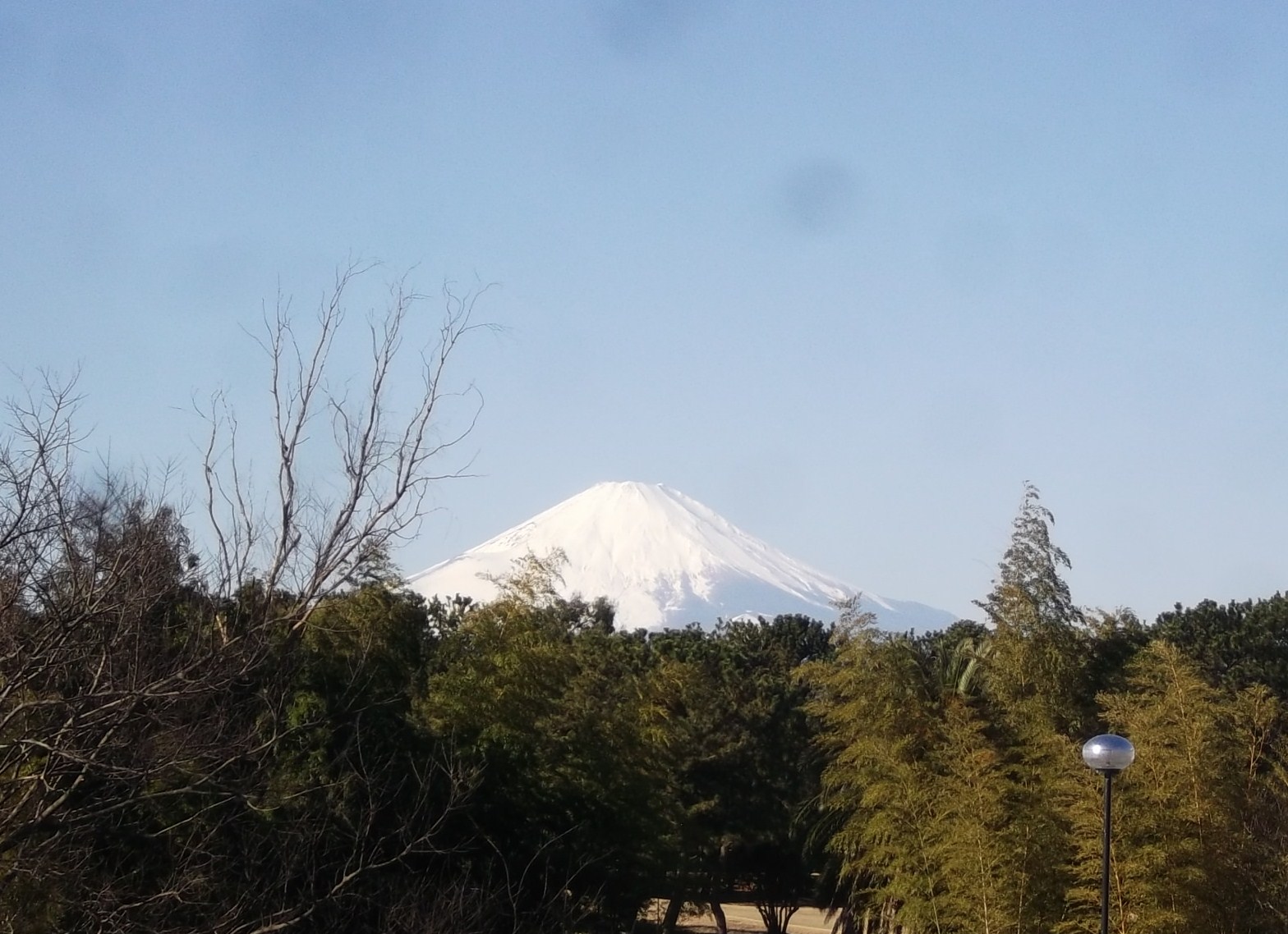 今日も箱根駅伝応援!_b0137932_1339948.jpg