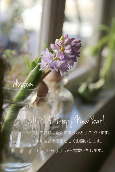 A Happy New Year !_a0229658_1131370.jpg