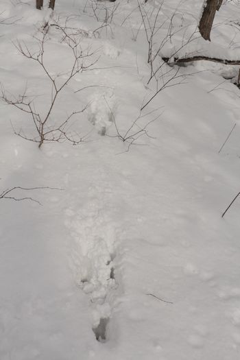 c0294658_21524715.jpg