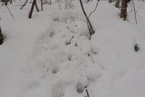 c0294658_22062872.jpg