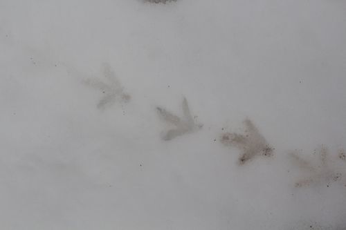 c0294658_22262850.jpg