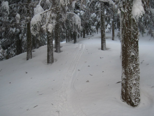 2015.1.3　山スキー風呂塔1402ｍ_c0219866_19381316.jpg