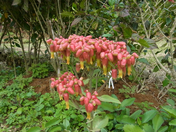 b0194267_10112961.jpg