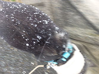 b0057675_10332224.jpg