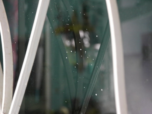 a0002177_1301878.jpg