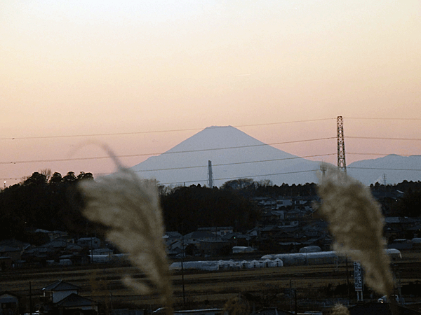 a0238278_22201510.gif