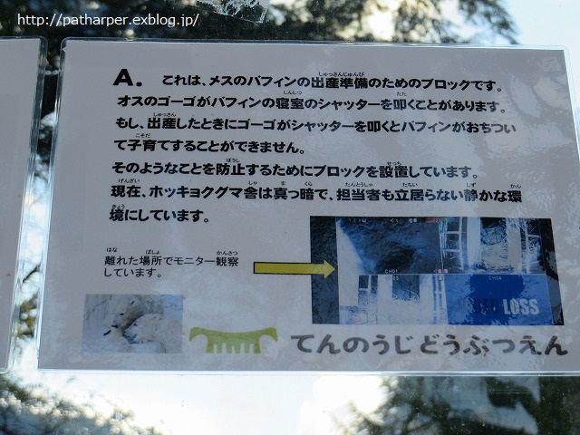 ２０１４年１２月　天王寺動物園　その１_a0052986_8375130.jpg