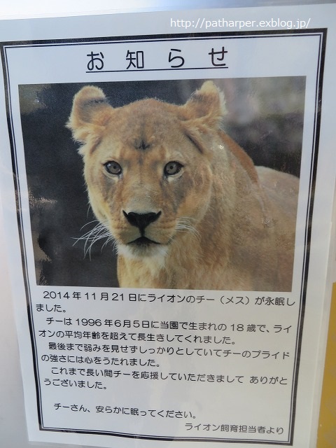 自分用覚書 ２０１４年 動物園 訃報一覧 ハープの徒然草