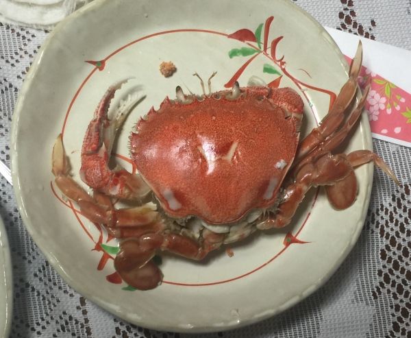 エッチガニ ほっぴいこうせい エッチガニ ほっぴいこうせい