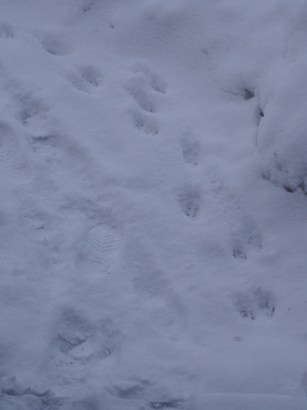 c0220700_10144170.jpg