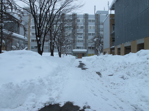 昼下がりに松岬公園から米沢キャンパスへの散歩　１月４日・・・１０_c0075701_2325597.jpg