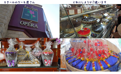カタール(ドーハ)(5)_c0051105_1793645.jpg