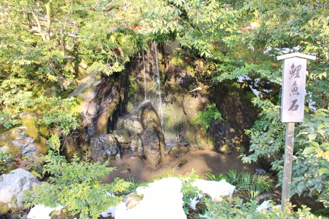 d0238608_23441346.jpg
