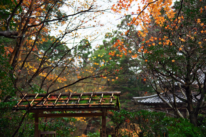 京都南禅寺　天授庵_a0263109_15504525.jpg