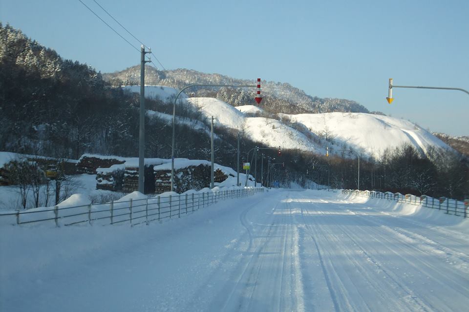 d0119909_20223799.jpg