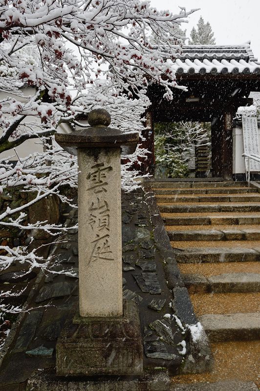 元旦雪景色!@東福寺塔頭 光明院_f0032011_16365899.jpg