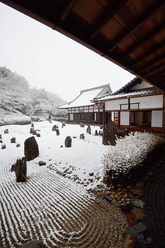 元旦雪景色!@東福寺塔頭 光明院_f0032011_1644504.jpg